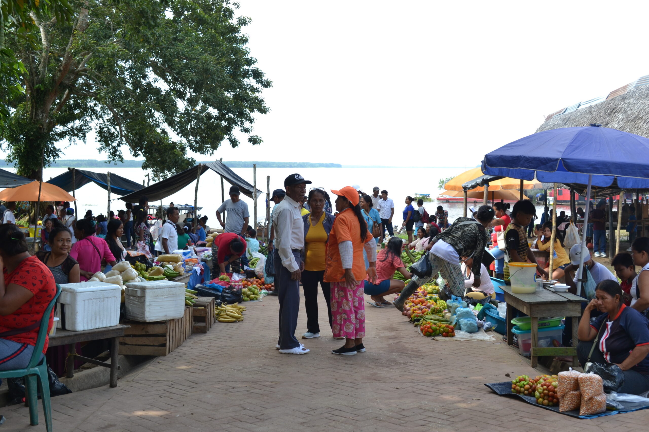 Formulación De Proyectos