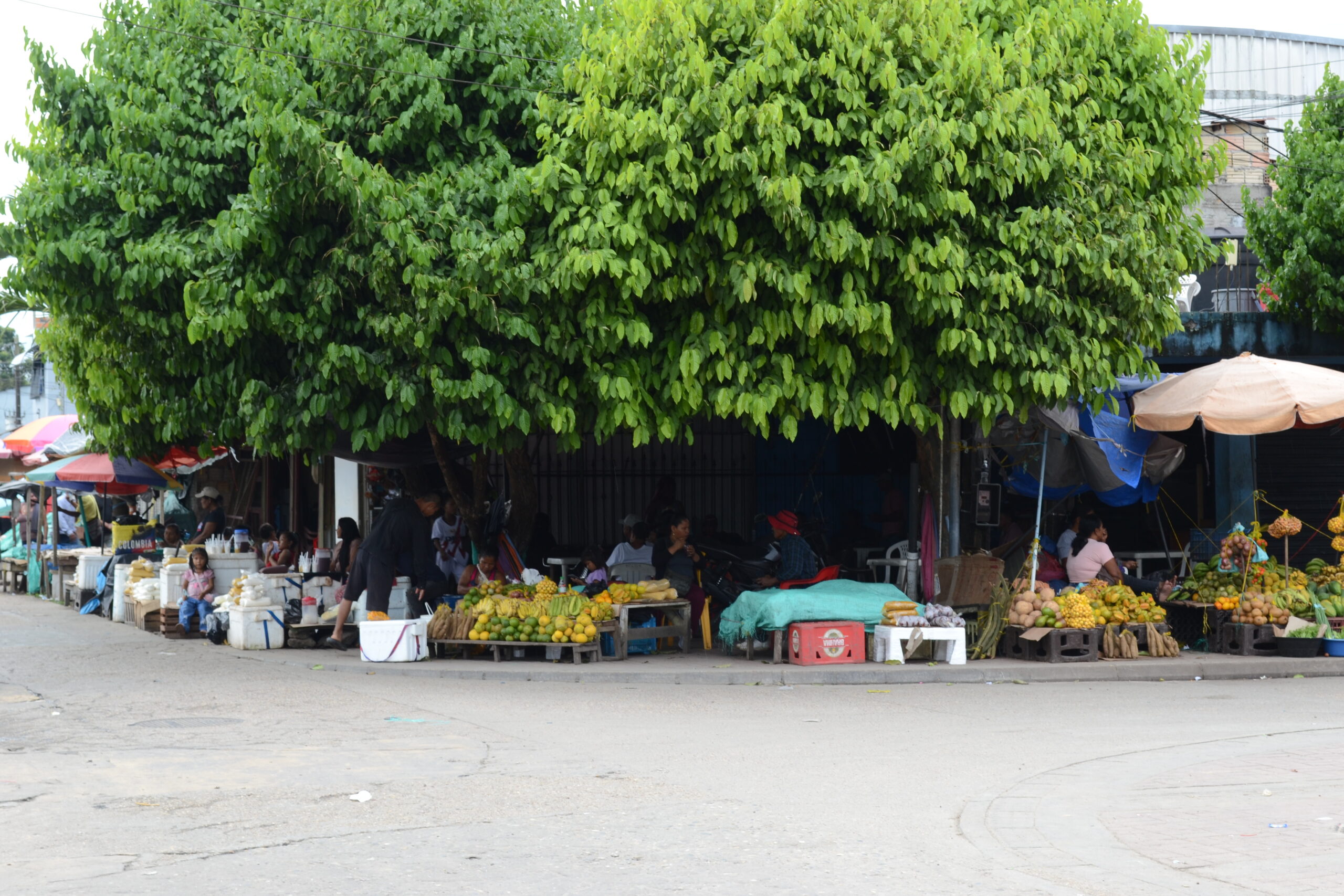 Fundraising Intercultural